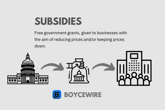 subsidies definition